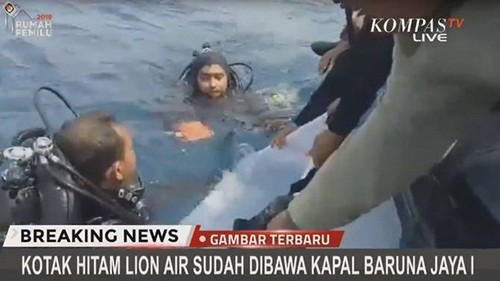 Найден чёрный ящик рухнувшего в Индонезии самолёта  - ảnh 1