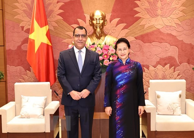 Председатель Нацсобрания Нгуен Тхи Ким Нган приняла послов, завершивших срок своих полномочий во Вьетнаме - ảnh 2