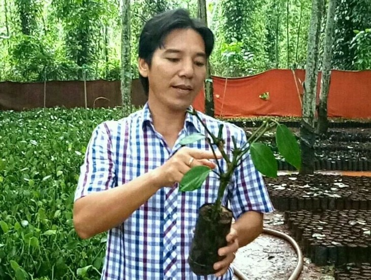 Вьетнамский крестьянин Лам Нгок Ням - создатель сорта черного перца «Баумэй» - ảnh 1