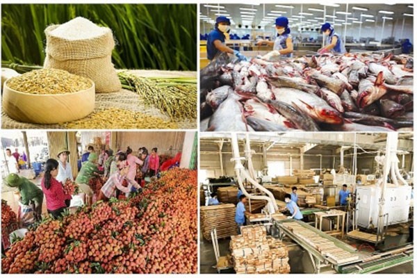 Преодолев трудности, Вьетнам достиг высоких темпов роста экспорта сельхозпродукции - ảnh 1