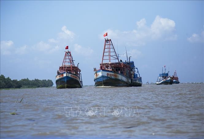EC проведёт онлайн-заседание по поводу отмены жёлтой карточки в отношении вьетнамских морепродуктов - ảnh 1