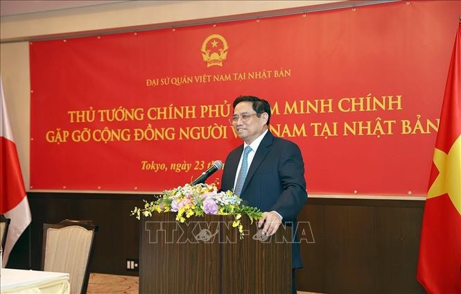 Премьер-министр Фам Минь Тинь встретился с представителями вьетнамской диаспоры в Японии  - ảnh 1