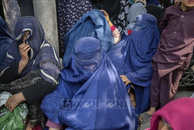 Талибан издал указ о «правах женщин» - ảnh 1