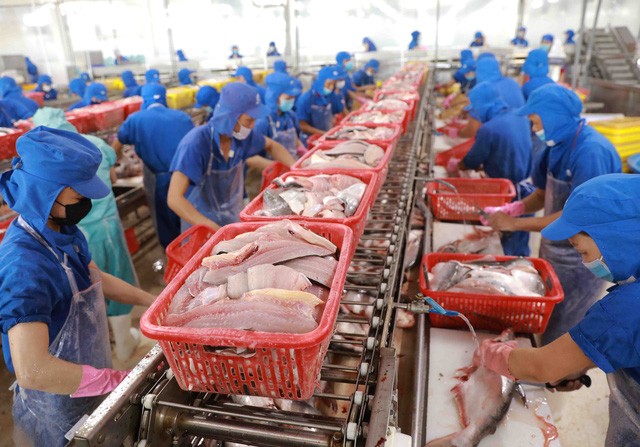 В 2021 году экспорт морепродуктов достигнет почти $8,9 млрд. - ảnh 1
