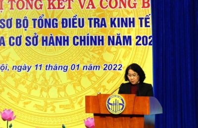 Обнародованы предварительные итоги всевьетнамской экономической и административной переписи 2021 года - ảnh 1