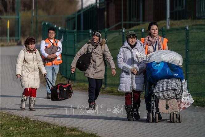 Россия и Украина продолжают эвакуацию мирных жителей  - ảnh 1