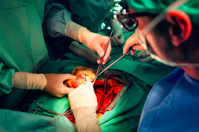 В Швейцарии на референдуме одобрили закон, расширяющий возможности для донорства органов - ảnh 1