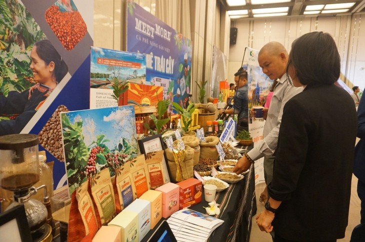 Провинция Даклак стремится к продвижению бренда вьетнамского кофе на мировом рынке - ảnh 1