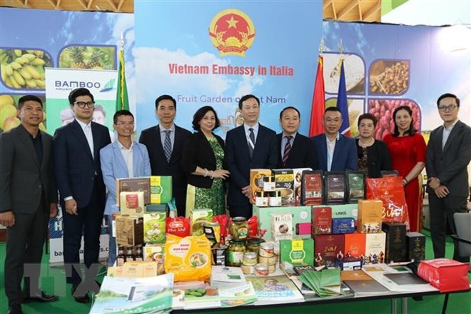 Потенциал экспорта вьетнамской сельхозпродукции в Италию огромен - ảnh 1