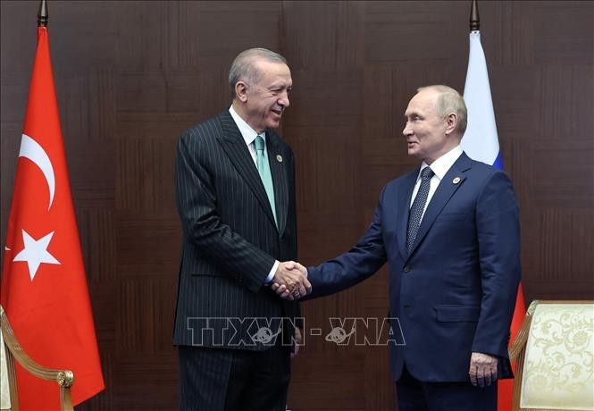 Президент России может посетить Турцию  - ảnh 1