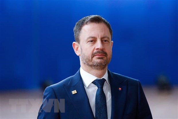 Премьер-министр Словакии заявил о желании подать в отставку - ảnh 1