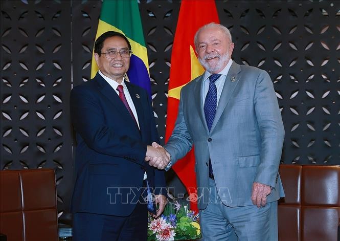 Премьер-министр Фам Минь Тинт провёл встречи с руководителями и политиками - ảnh 2
