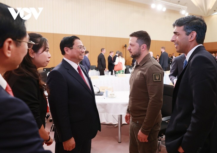 Премьер-министр Фам Минь Тинт провёл встречи с руководителями и политиками - ảnh 3
