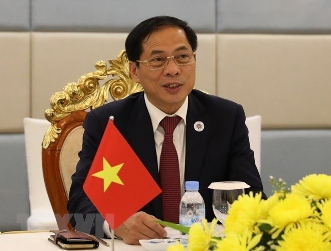 Глава МИД Буй Тхань Шон: Вьетнам стремится построить здоровую общественную среду без наркотиков - ảnh 1