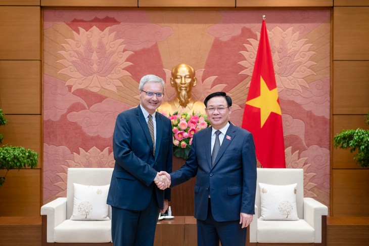 Президент Нацсобрания Выонг Динь Хюэ принял посла Франции во Вьетнаме - ảnh 1