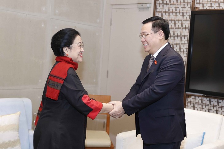 Председатель Нацсобрания Выонг Динь Хюэ провёл встречу с вьетнамцами в Индонезии и нанёс визит бывшему президенту Мегавати Сукарнопутри - ảnh 2