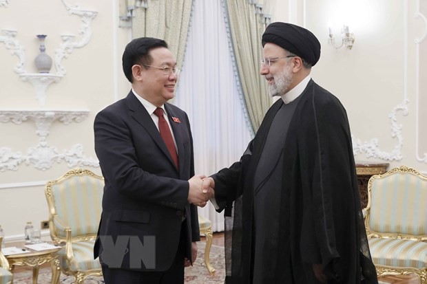 Вьетнам придаёт важное значение укреплению дружбы и развитию многогранного сотрудничества с Ираном - ảnh 1