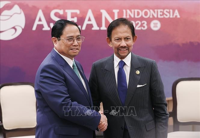 Премьер-министр Фам Минь Тинь нанёс визит султану Брунея Хассаналу Болкиаху - ảnh 1