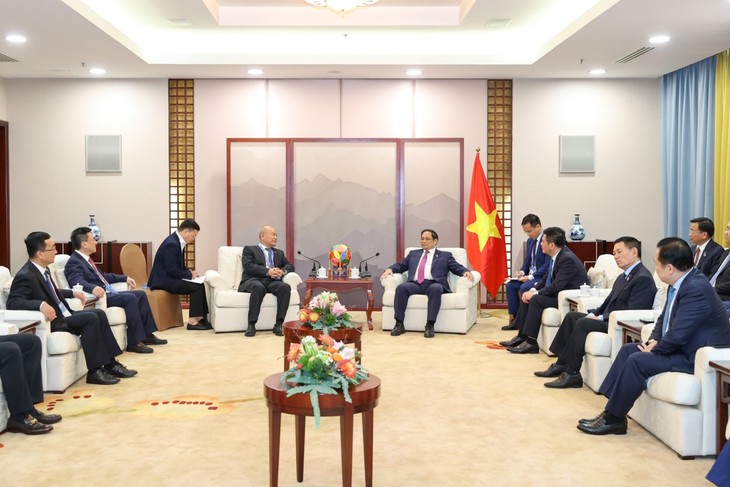Премьер-министр Фам Минь Тинь принял руководителей крупных компаний Китая - ảnh 1