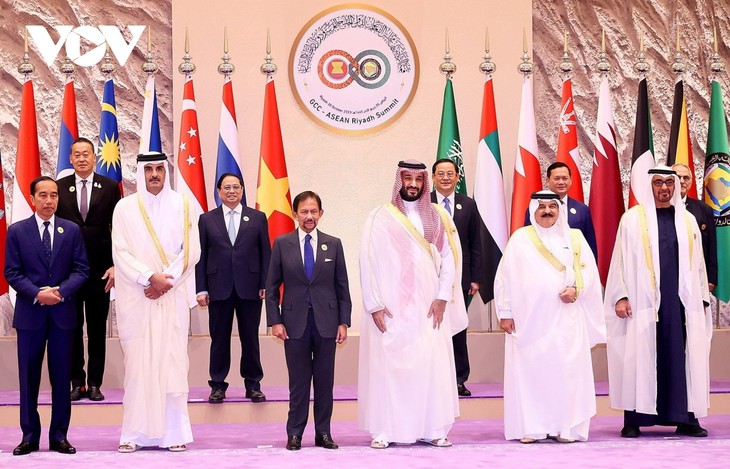 Премьер-министр Фам Минь Тинь предложил 3 направления содействия сотрудничеству между АСЕАН и Советом сотрудничества арабских государств Персидского залива - ảnh 1