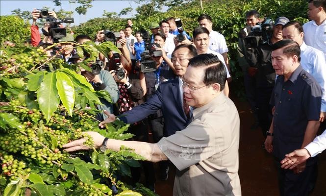 Председатель Нацсобрания посетил зону выращивания кофе и принял участие в церемонии открытия завода по переработке кофе Шонла - ảnh 1
