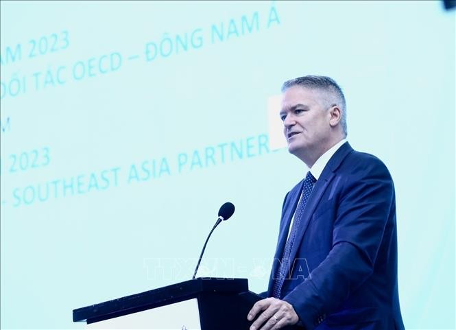 Сотрудничество Вьетнама и ОЭСР становится более эффективным и предметным - ảnh 1