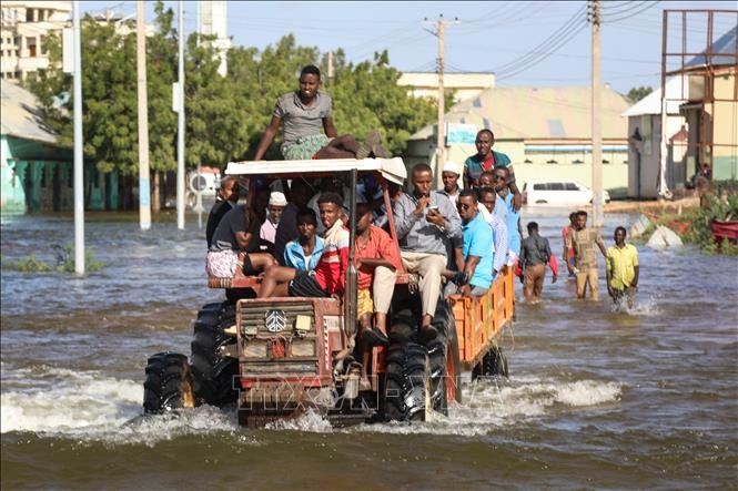 ООН призвала эвакуировать более 700 тысяч человек из-за наводнений в Сомали - ảnh 1