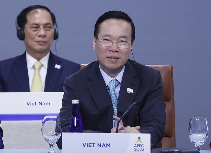 Президент Во Ван Тхыонг принял участие в 30-й встрече руководителей экономик АТЭС - ảnh 1