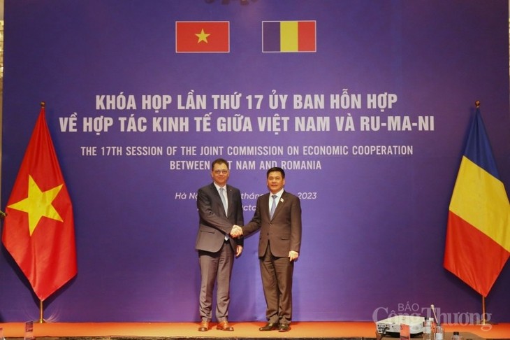 17-е заседание Вьетнамо-румынской смешанной комиссии по экономическому сотрудничеству  - ảnh 1