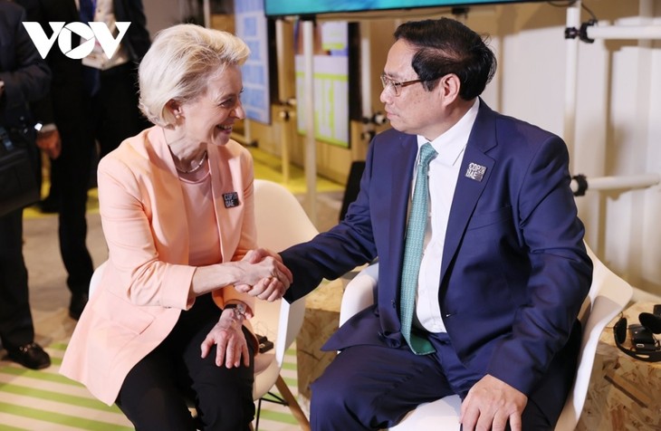 COP28: Премьер-министр Фам Минь Тинь провёл ряд двусторонних встреч с высокопоставленными руководителями  - ảnh 1