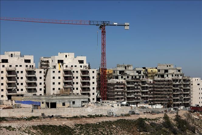 ООН выступила против расширения Израилем еврейских поселений на оккупированных палестинских территориях  - ảnh 1