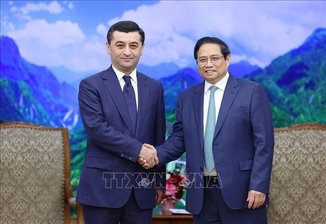Содействие всеобъемлющему сотрудничеству между Вьетнамом и Узбекистаном  - ảnh 1