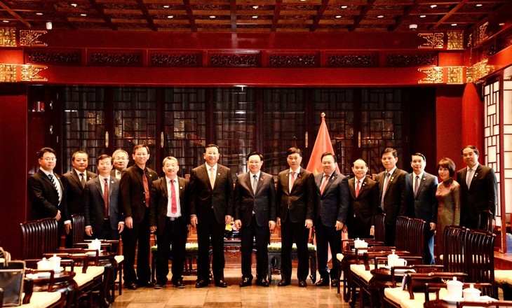 Председатель Нацсобрания Выонг Динь Хюэ принял руководителей крупных корпораций Китая - ảnh 2