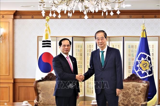 Вьетнам и Республика Корея договорились активизировать Всеобъемлющее стратегическое партнёрство  - ảnh 1