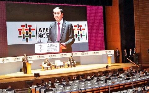 APEC 2017 ຢືນຢັນທີ່ຕັ້ງທ່ວງທ່າຂອງຫວຽດນາມ - ảnh 1