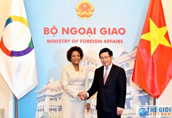 越南政府副总理兼外交部长范平明与法语国家组织秘书长米夏埃尔·让举行会谈 - ảnh 1