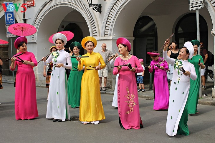 越南参加2018年捷克全国少数民族文化节 - ảnh 1