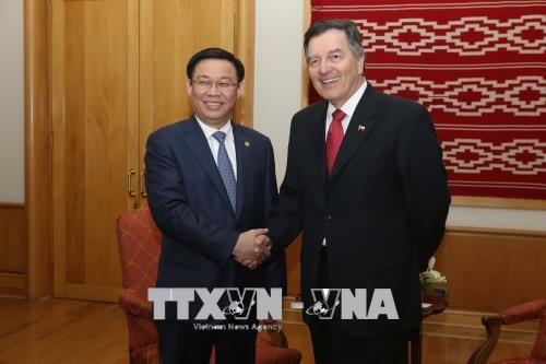 越南政府副总理王庭惠访问智利 - ảnh 1