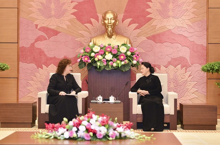 越南国会主席阮氏金银会见俄罗斯国家杜马副主席艾菲法诺娃 - ảnh 1