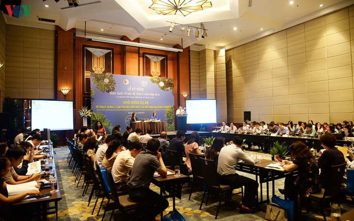 越南响应2019年国际臭氧层保护日 - ảnh 1