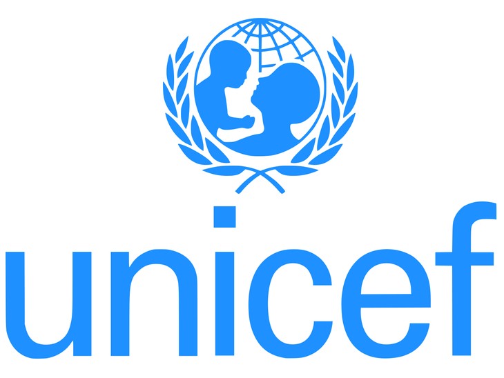 អង្គការ UNICEF ព្រមានថាគ្រោះមិនចេះអក្សររបស់យុវជននៅក្នុងប្រទេសកំពុងមានជម្លោះ ឬគ្រោះធម្មជាតិ - ảnh 1