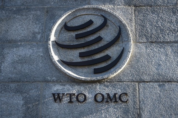 បើកសន្និសីទថ្នាក់រដ្ឋមន្ត្រី WTO លើកទី១៣ - ảnh 1