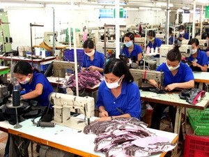 Trao đổi thương mại giữa Việt Nam và Chile tăng kỷ lục - ảnh 1