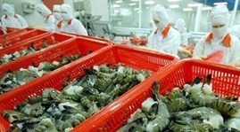 Hội nghề cá Việt Nam phản đối quyết định áp thuế trợ giá tôm Việt Nam - ảnh 1