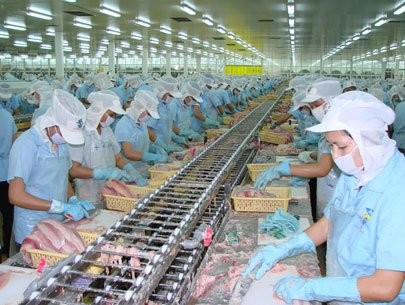 Quốc hội Mỹ thông qua dự luật gây khó khăn cho sản phẩm cá da trơn Việt Nam - ảnh 1