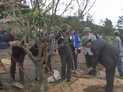 Ra quân trồng 103 cây mai vàng trước mộ Đại tướng Võ Nguyên Giáp ở Vũng Chùa - Đảo Yến - ảnh 1