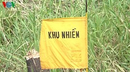 Khắc phục ô nhiễm dioxin tại sân bay Biên Hòa, tỉnh Đồng Nai - ảnh 1
