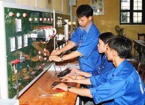 Quốc hội giám sát thực hiện Luật Thanh niên tại Hà Nội  - ảnh 1