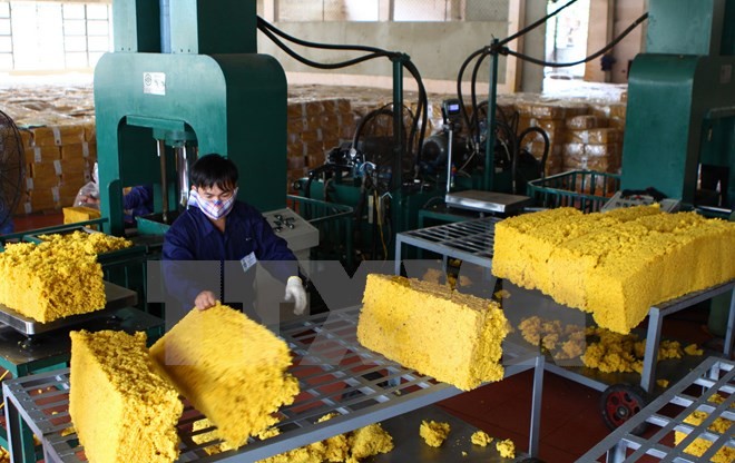 Việt Nam quảng bá sản phẩm ưu thế tại khu vực Tây Nam Trung Quốc - ảnh 1