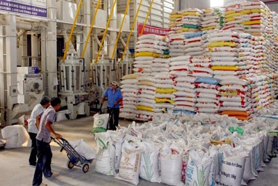 Việt Nam và Thái Lan chiếm gần 50% sản lượng gạo xuất khẩu trên thế giới - ảnh 1